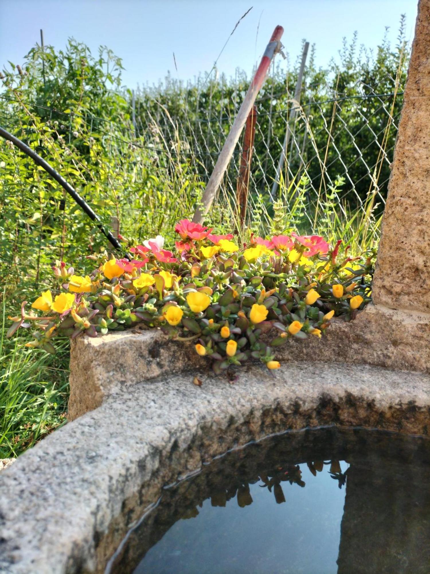 I Girasoli 산제노 외부 사진