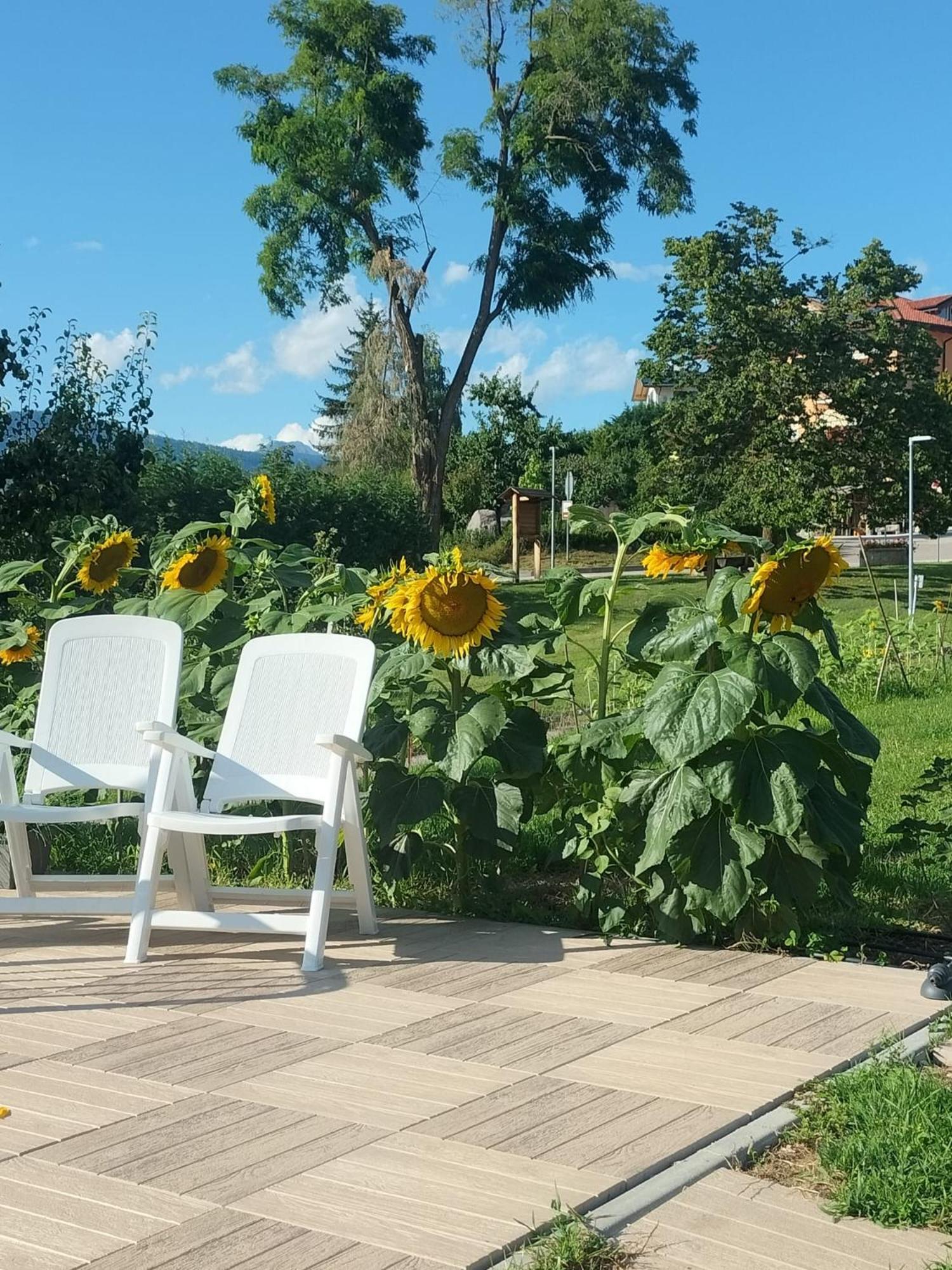 I Girasoli 산제노 외부 사진