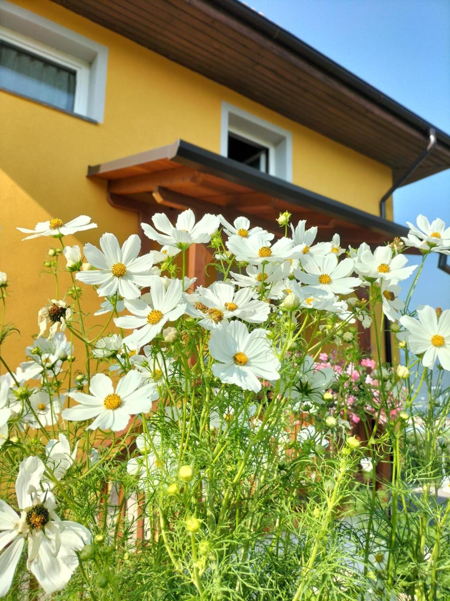 I Girasoli 산제노 외부 사진